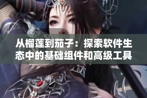 從榴蓮到茄子:探索軟件生態中的基礎組件和高級工具 從榴蓮到茄子:探索軟件生態中的基礎組件和高級工具