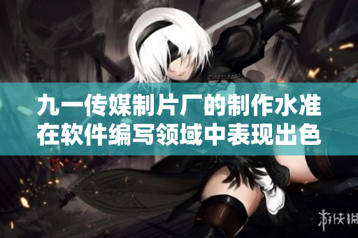九一傳媒制片廠的制作水準在軟件編寫領域中表現出色