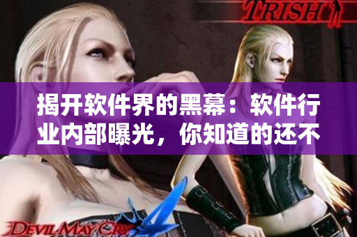 揭開軟件界的黑幕:軟件行業內部曝光,你知道的還不夠! 揭開軟件界的黑幕:軟件行業內部曝光,你知道的還不夠!