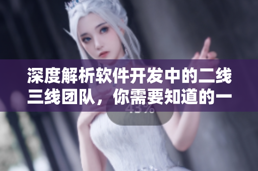 深度解析軟件開發中的二線三線團隊，你需要知道的一切