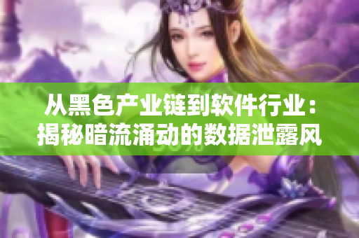 從黑色產業鏈到軟件行業:揭秘暗流涌動的數據泄露風險 從黑色產業鏈到軟件行業:揭秘暗流涌動的數據泄露風險