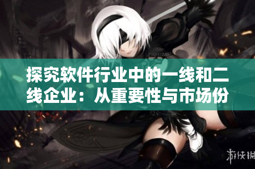探究軟件行業(yè)中的一線和二線企業(yè)：從重要性與市場份額角度分析