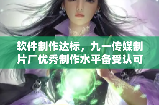軟件制作達標,九一傳媒制片廠優(yōu)秀制作水平備受認可 軟件制作達標,九一傳媒制片廠優(yōu)秀制作水平備受認可