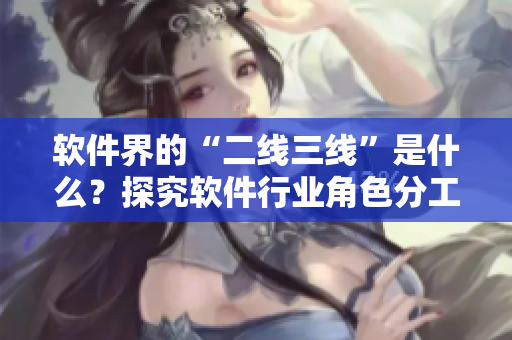 軟件界的“二線三線”是什么？探究軟件行業角色分工及職業發展路徑