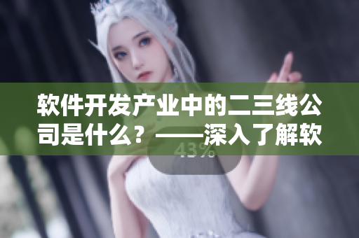 軟件開發產業中的二三線公司是什么?——深入了解軟件行業的市場分布 軟件開發產業中的二三線公司是什么?——深入了解軟件行業的市場分布