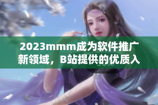 2023mmm成為軟件推廣新領域，B站提供的優質入口被市場熱捧