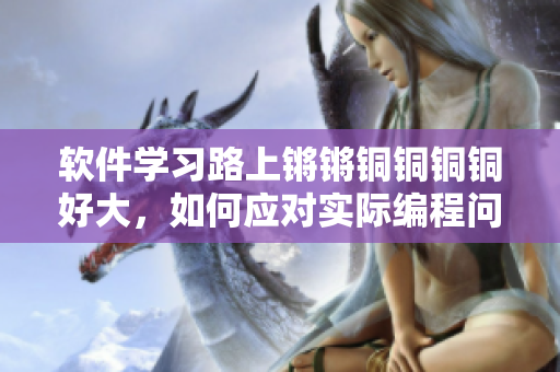 軟件學習路上鏘鏘銅銅銅銅好大,如何應對實際編程問題? 軟件學習路上鏘鏘銅銅銅銅好大,如何應對實際編程問題?
