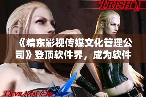 《精東影視傳媒文化管理公司》登頂軟件界，成為軟件產(chǎn)業(yè)新貴