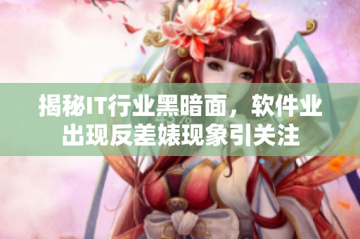 揭秘IT行業黑暗面，軟件業出現反差婊現象引關注