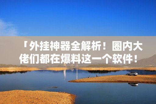 「外掛神器全解析！圈內大佬們都在爆料這一個軟件！」
