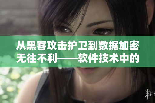 從黑客攻擊護衛到數據加密無往不利——軟件技術中的保護措施 從黑客攻擊護衛到數據加密無往不利——軟件技術中的保護措施