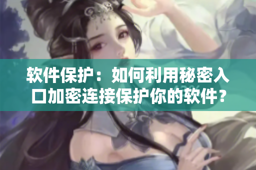 軟件保護:如何利用秘密入口加密連接保護你的軟件? 軟件保護:如何利用秘密入口加密連接保護你的軟件?