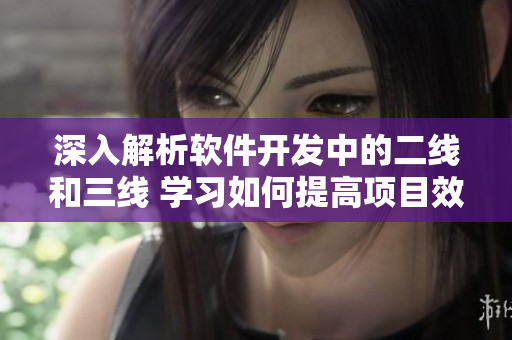 深入解析軟件開發中的二線和三線 學習如何提高項目效率