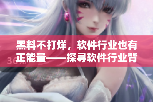 黑料不打烊，軟件行業也有正能量——探尋軟件行業背后的秘密和良心