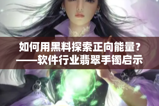 如何用黑料探索正向能量?——軟件行業翡翠手鐲啟示錄 如何用黑料探索正向能量?——軟件行業翡翠手鐲啟示錄