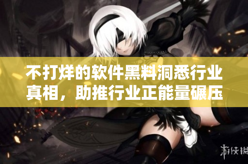 不打烊的軟件黑料洞悉行業(yè)真相，助推行業(yè)正能量碾壓負(fù)面影響