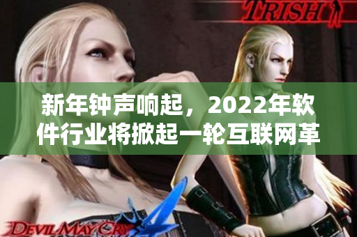 新年鐘聲響起，2022年軟件行業(yè)將掀起一輪互聯(lián)網革命