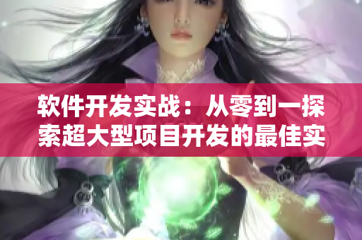 軟件開發實戰：從零到一探索超大型項目開發的最佳實踐