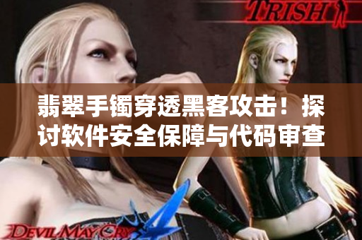 翡翠手鐲穿透黑客攻擊!探討軟件安全保障與代碼審查 翡翠手鐲穿透黑客攻擊!探討軟件安全保障與代碼審查