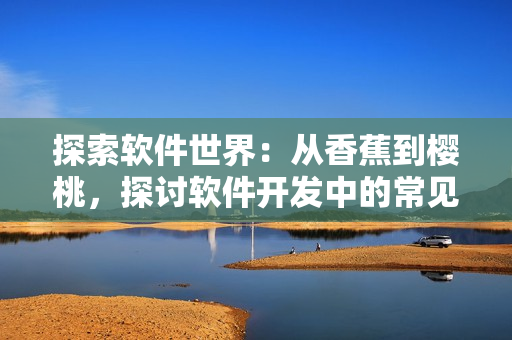 探索軟件世界:從香蕉到櫻桃,探討軟件開發中的常見需求與挑戰 探索軟件世界:從香蕉到櫻桃,探討軟件開發中的常見需求與挑戰