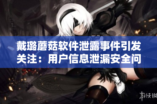戴璐蘑菇軟件泄露事件引發(fā)關(guān)注：用戶信息泄漏安全問題待解決