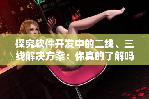 探究軟件開發(fā)中的二線、三線解決方案:你真的了解嗎? 探究軟件開發(fā)中的二線、三線解決方案:你真的了解嗎?